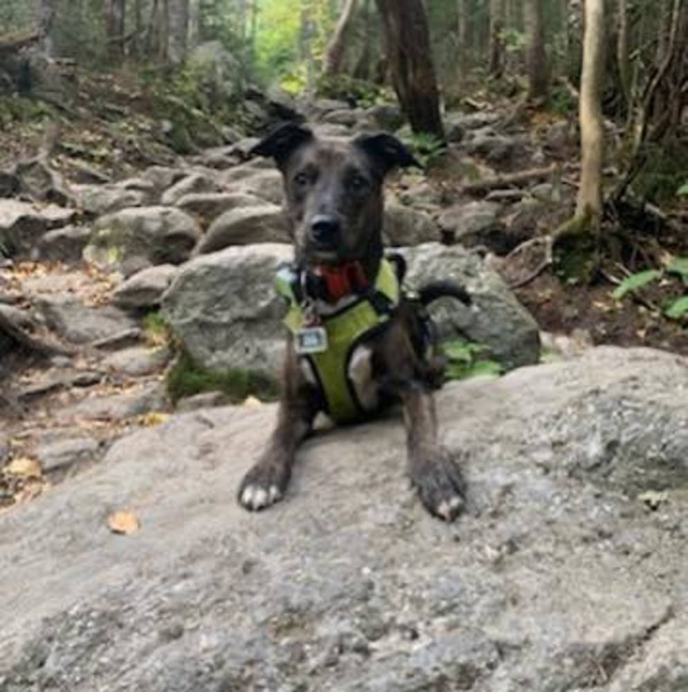 Meet your Posher, Christina